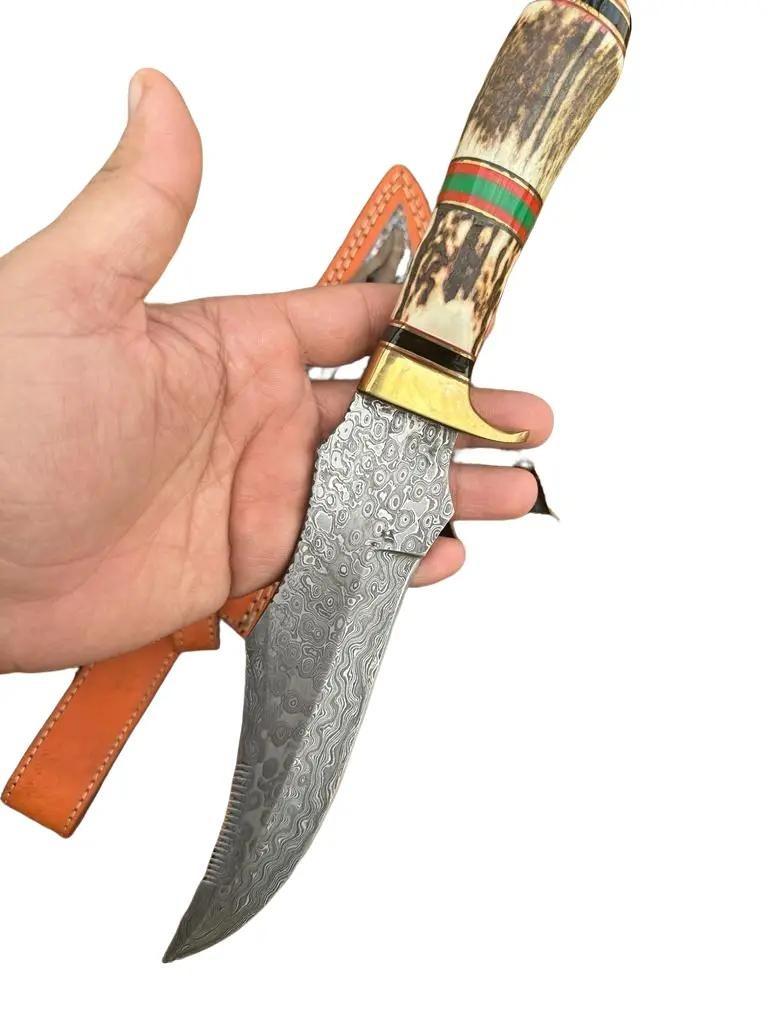 Premium Quality Handmade Damascus Steel Fixed Blade Bowie knife Stag Handle Brass Guard
