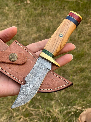 8" Skinning Knife Forged Damascus Fixed Blade - Olive Wood Handle