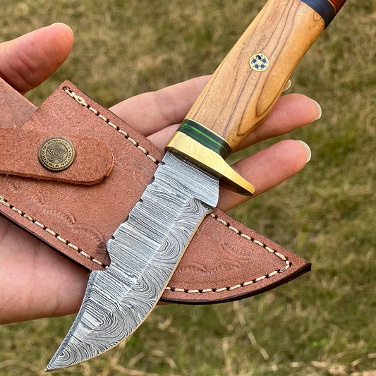 8" Skinning Knife Forged Damascus Fixed Blade - Olive Wood Handle