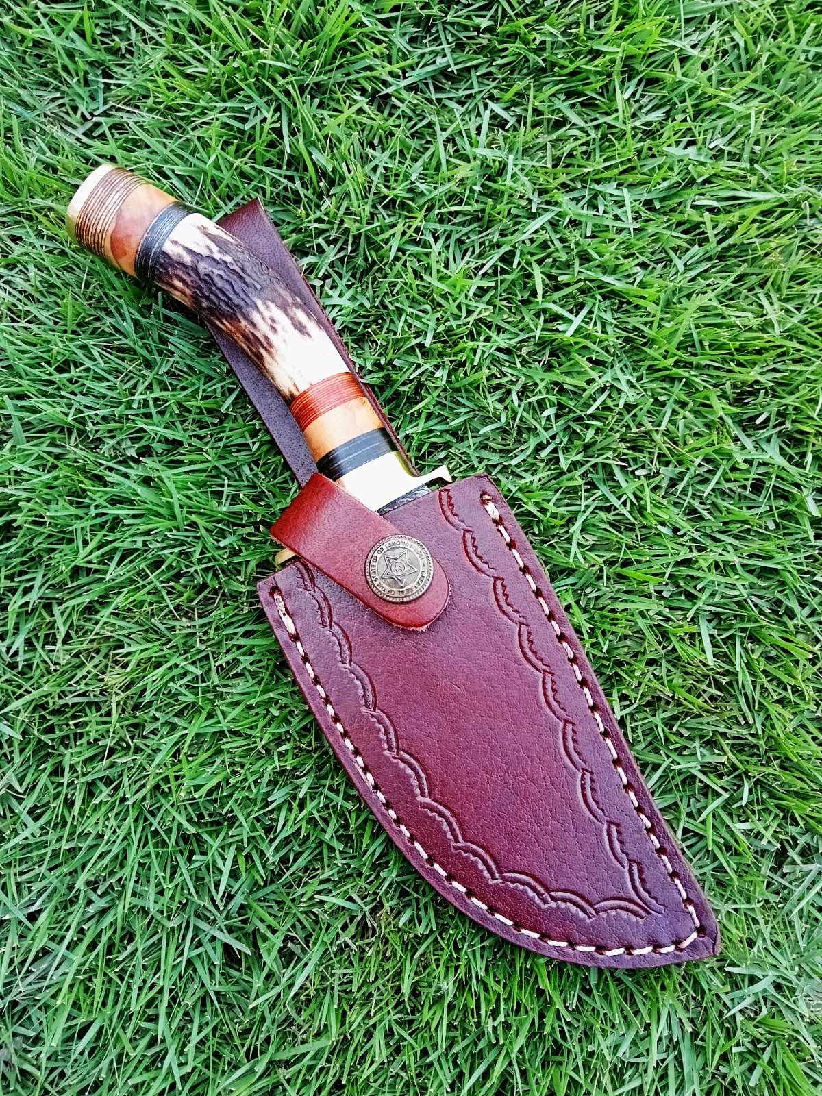 Damascus Steel Fixed Blade Hunting Skinning Knife Deer Stag Handle x-427