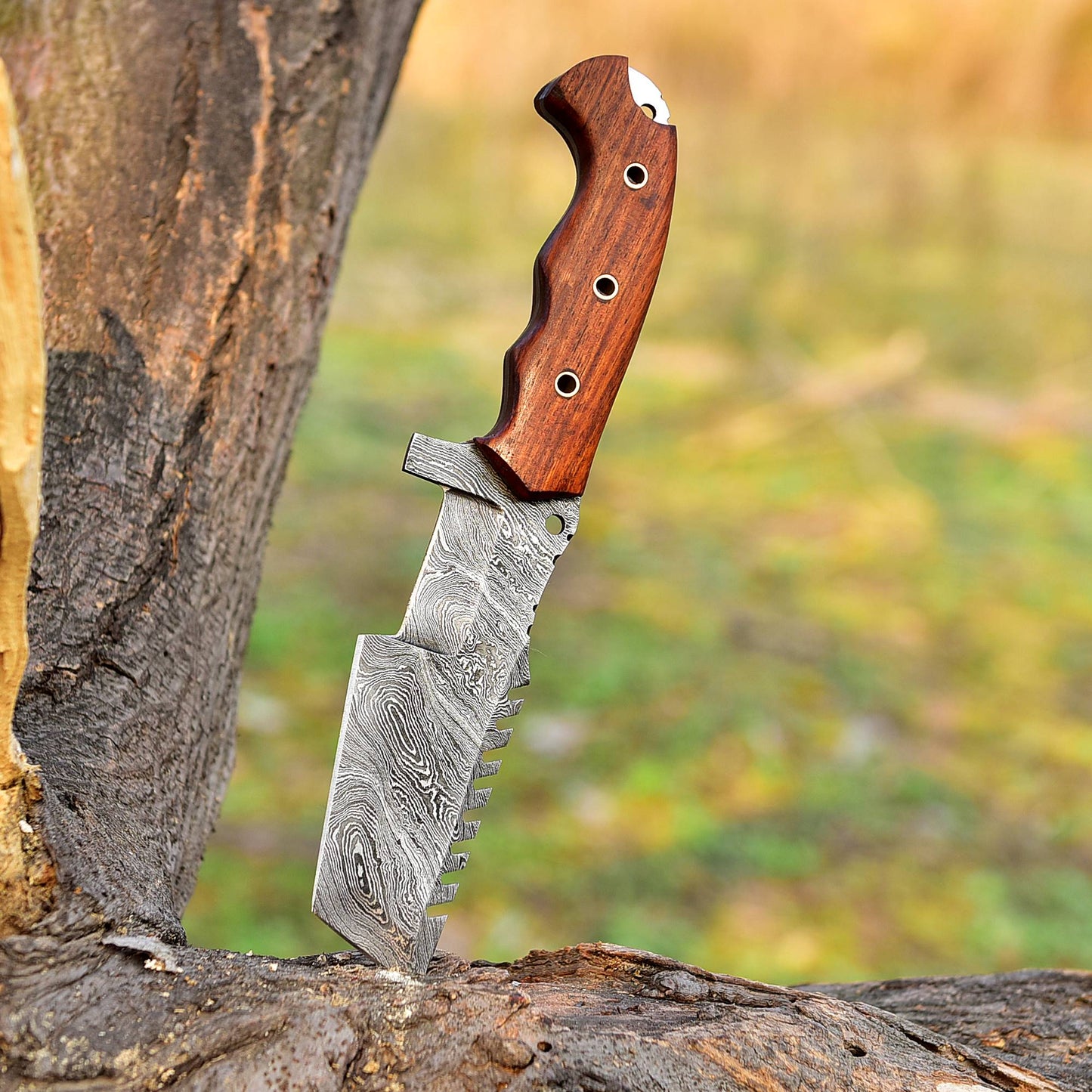 Tom Tracker Knife Forged Damascus Fixed Blade Hunting Skinning Knife Bull Cutter with Vertical Sheath