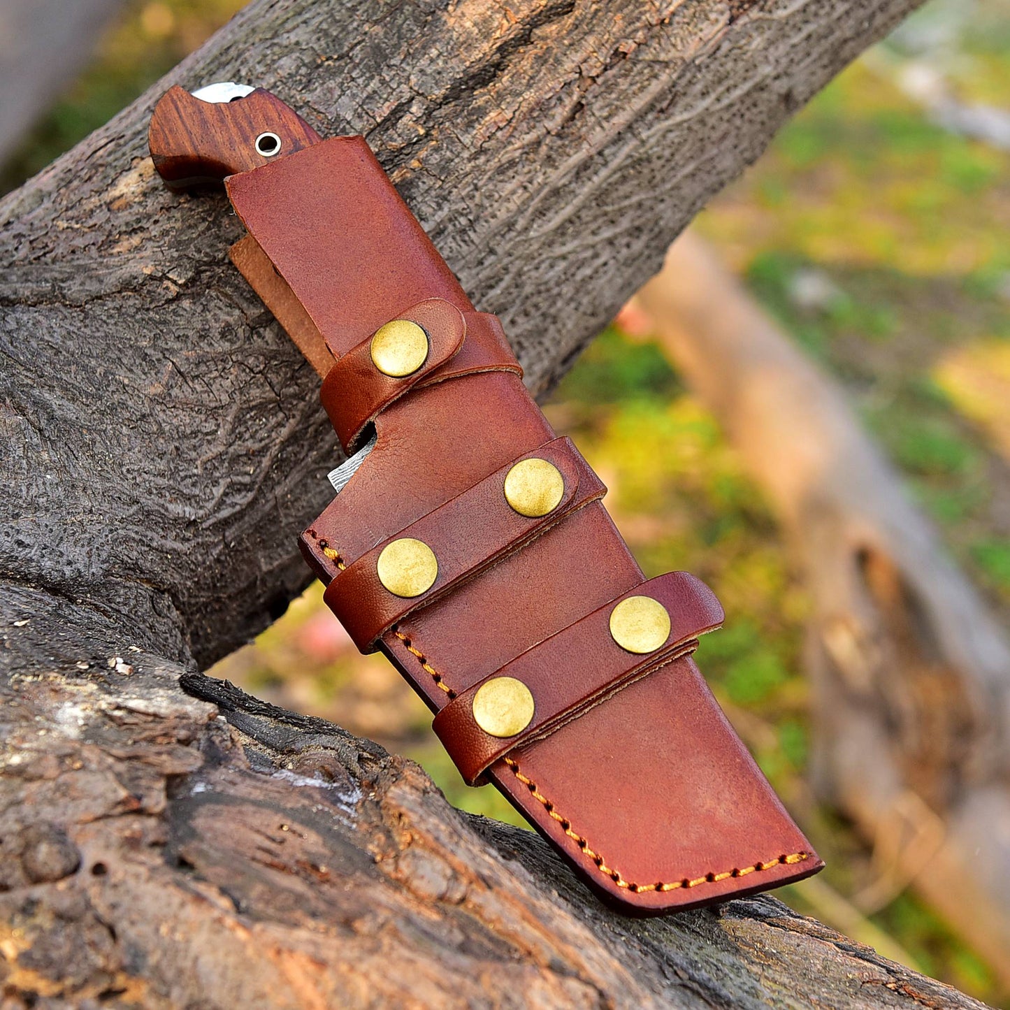 Tom Tracker Knife Forged Damascus Fixed Blade Hunting Skinning Knife Bull Cutter with Vertical Sheath
