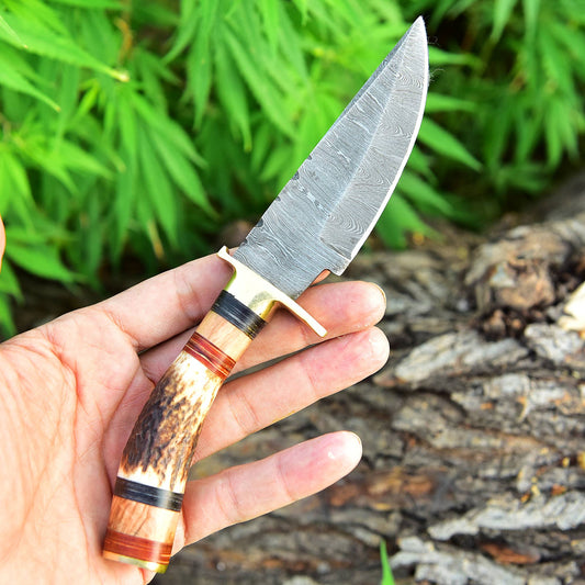 Damascus Steel Fixed Blade Hunting Skinning Knife Deer Stag Handle x-427
