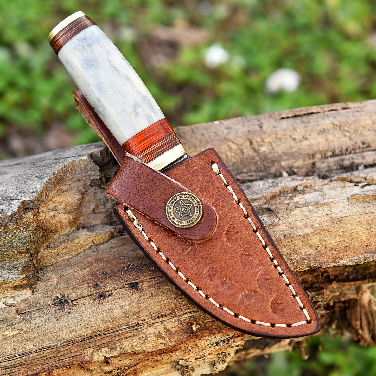 Handmade Damascus Steel Skinner Knife - Camel Bone Handle - 5.5" Full Tang Damascus Knife x-748