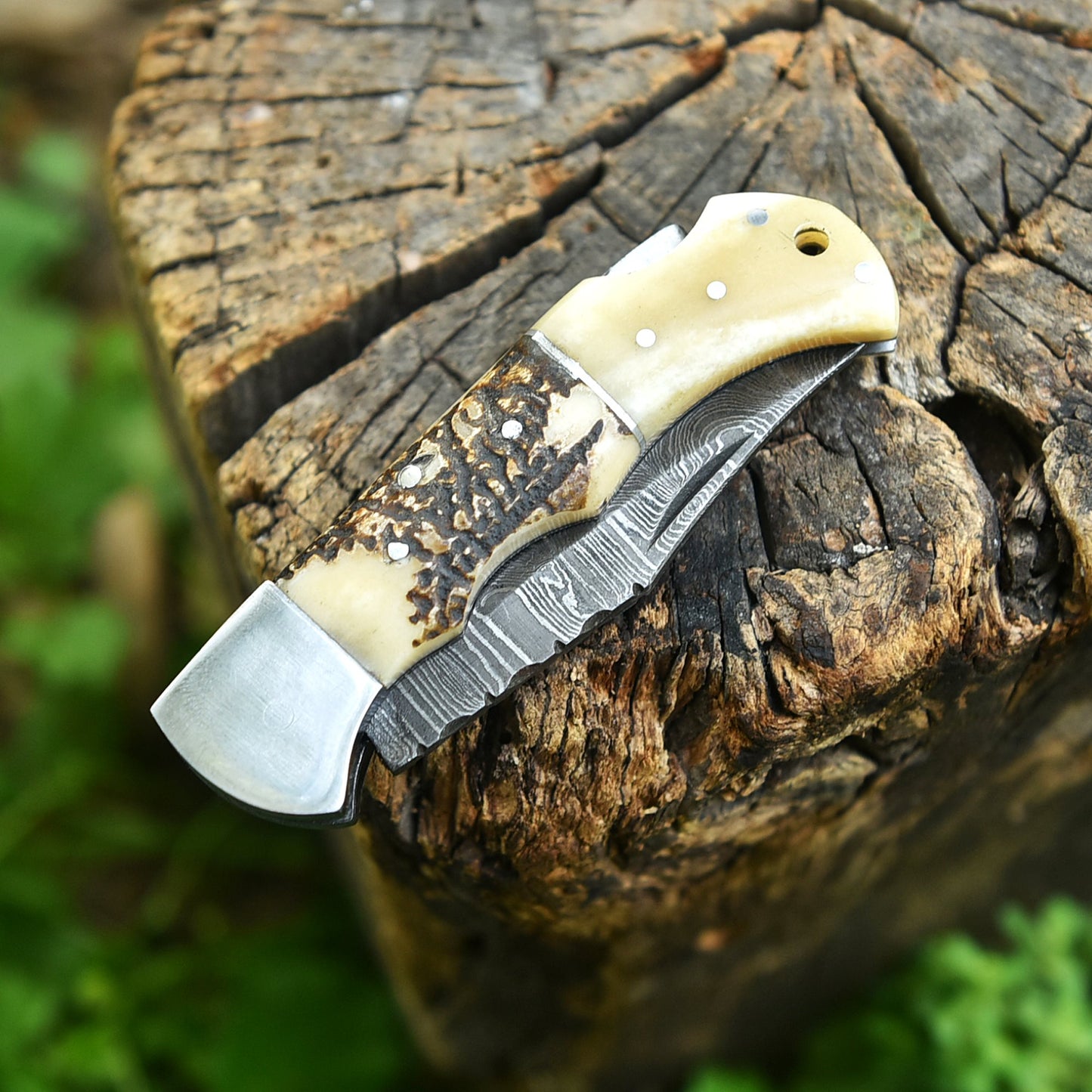 Professional Damascus Steel EDC Folding Knife Stage Camel Bone Handle