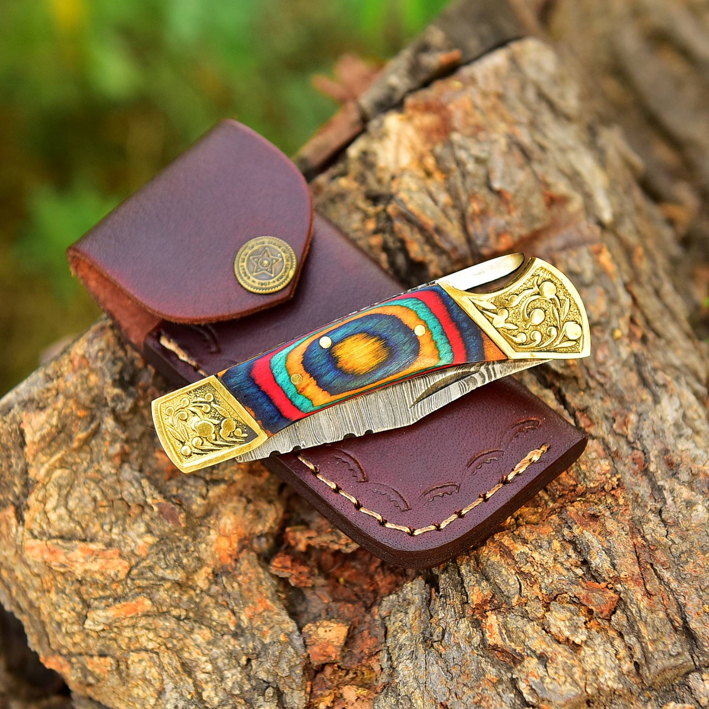 Customs Hand Made Damascus Steel Hunting Folding Knife Brass Bolster With Colored Wood Handle