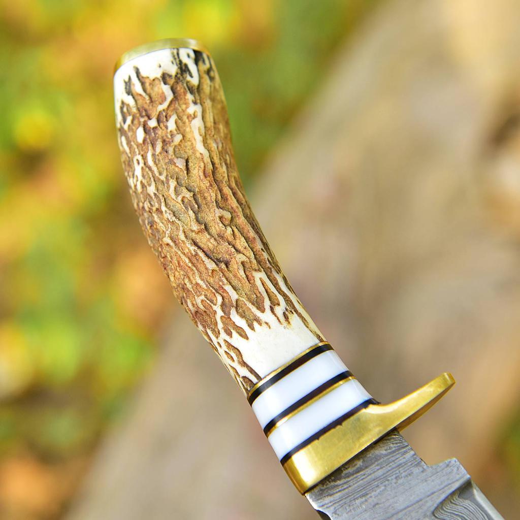 Handmade Damascus Steel - Stag Antler Handle Brass Guard for Gifting