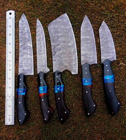 Handmade Damascus 5 PCS Kitchen Knife Set Chef Cutlery Set Wood Resin Handle
