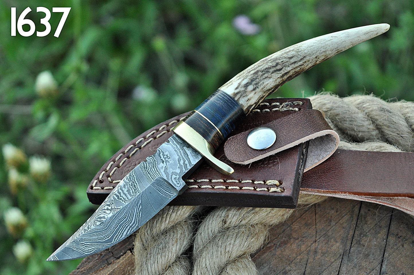 Miniature Knife Damascus Steel Fixed Blade Skinner Stag Antler Handle with Sheath