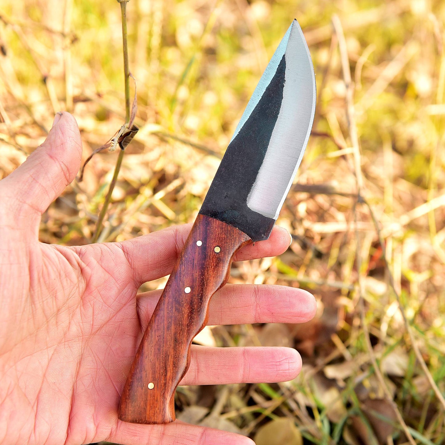 Handmade Carbon 1095 Steel Fixed Blade Skinner Adventure Knife Wood Handle