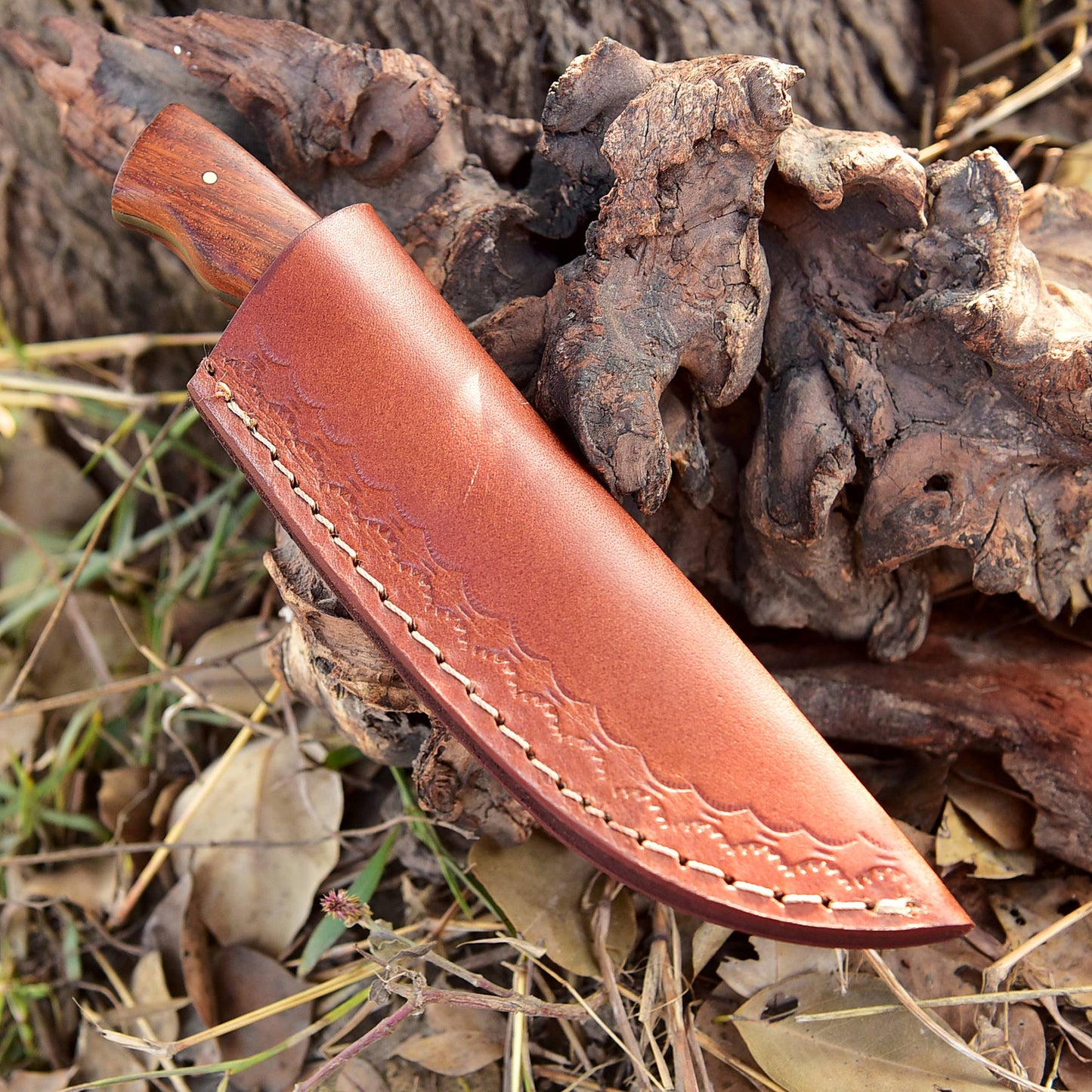 Handmade Carbon 1095 Steel Fixed Blade Skinner Adventure Knife Wood Handle