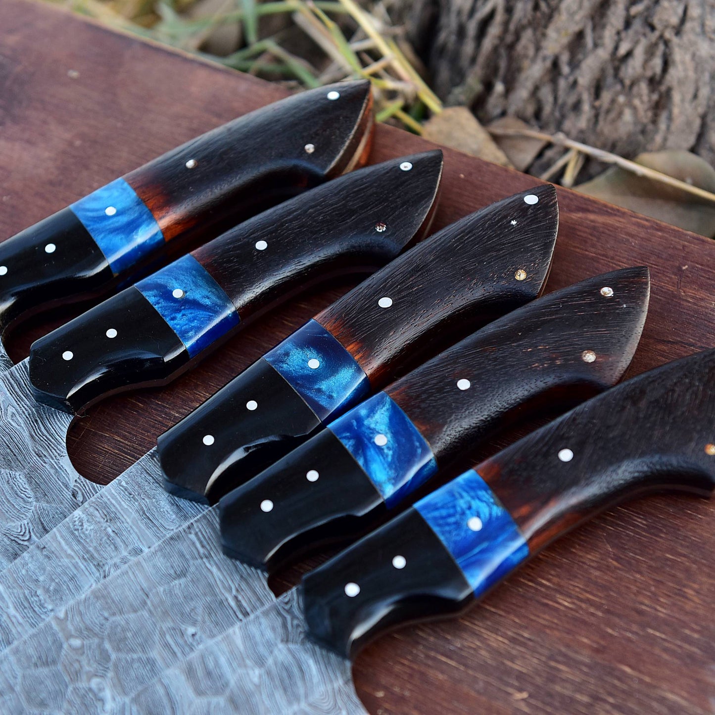 Handmade Damascus 5 PCS Kitchen Knife Set Chef Cutlery Set Wood Resin Handle