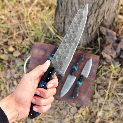 Handmade Damascus 5 PCS Kitchen Knife Set Chef Cutlery Set Wood Resin Handle