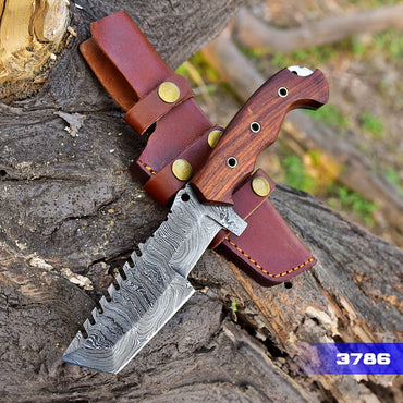 Tom Tracker Knife Forged Damascus Fixed Blade Hunting Skinning Knife Bull Cutter with Vertical Sheath