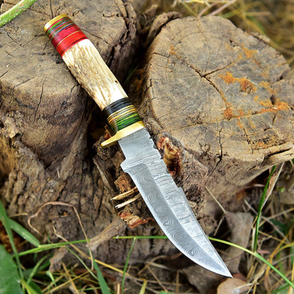 Custom Hand Forged Damascus Steel Adventure Camping EDC Knife Stage Handle