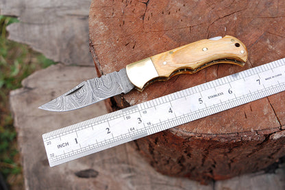 Handcrafted Damascus Steel Folding Pocket Knife Wood Brass Bolster Handle