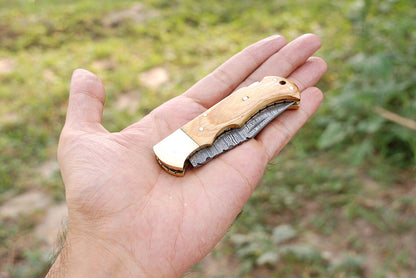 Handcrafted Damascus Steel Folding Pocket Knife Wood Brass Bolster Handle