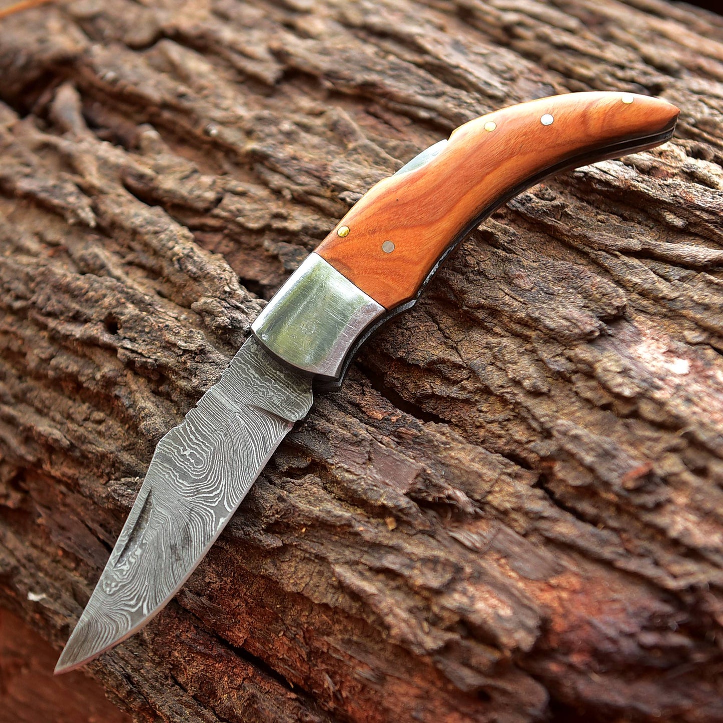 Handmade Damascus Pocket Knife Back Lock Folding Knife Wood Handle