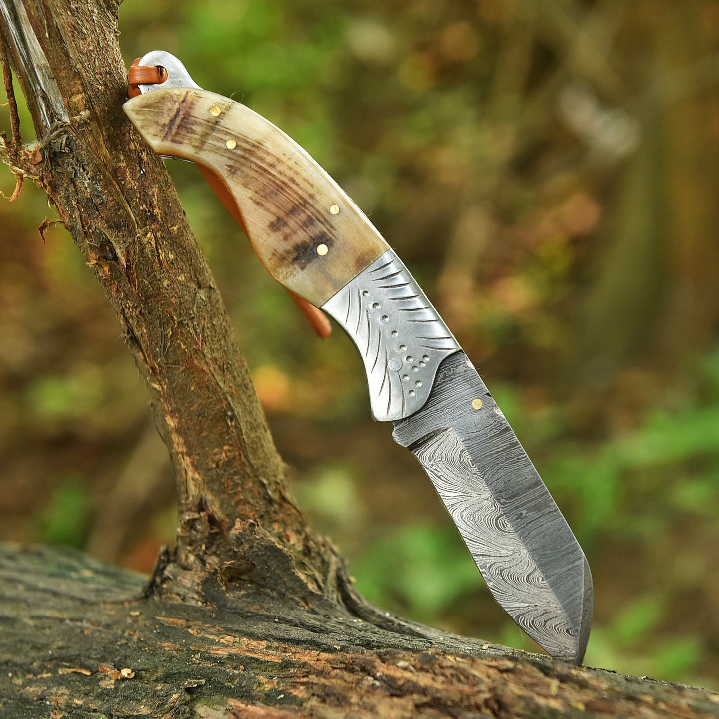 Adventure Hand Forged Damascus Folding Hunting Knife Ram Horn Handle