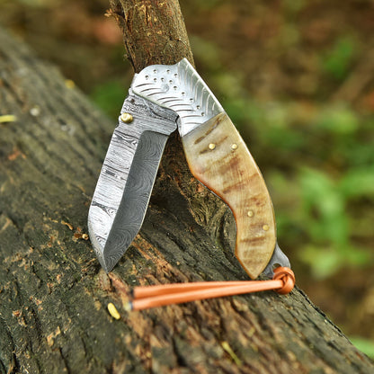 Adventure Hand Forged Damascus Folding Hunting Knife Ram Horn Handle