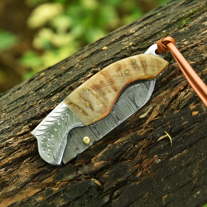 Adventure Hand Forged Damascus Folding Hunting Knife Ram Horn Handle