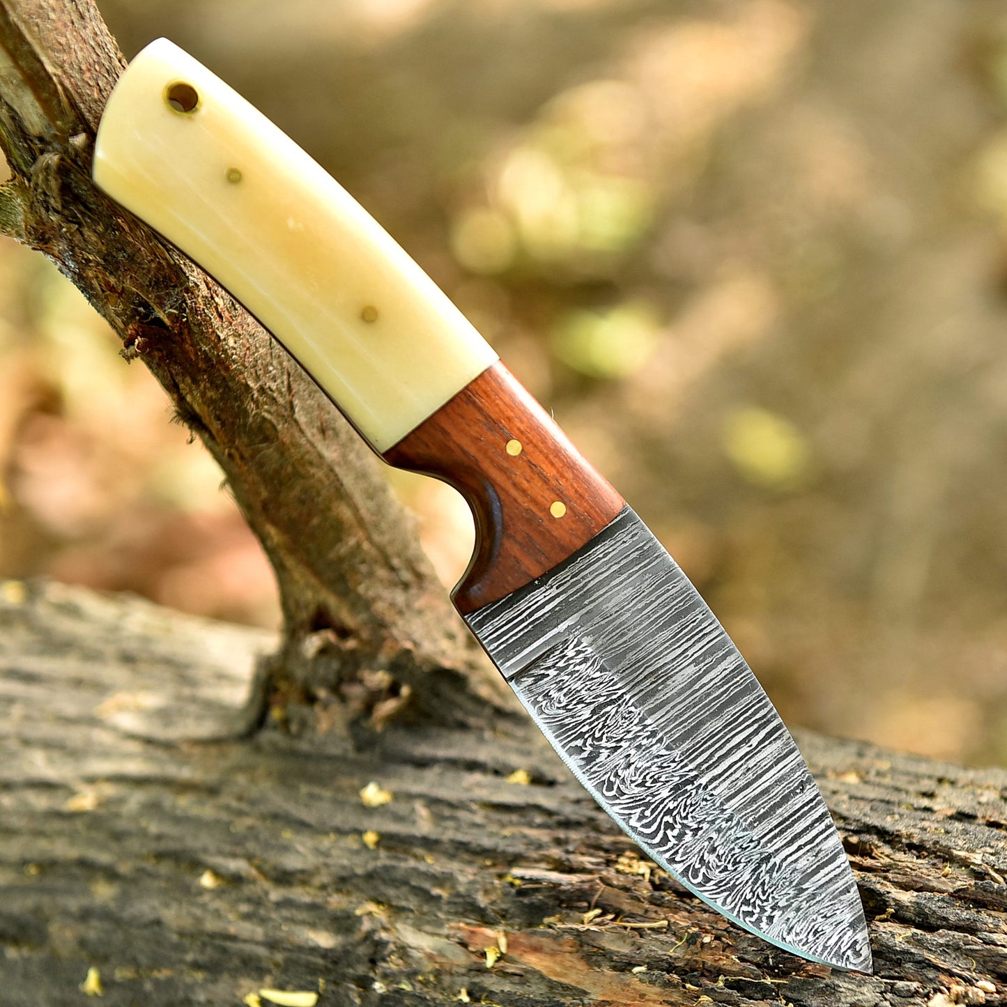 Handmade Damascus Steel Skinning Knife Wood Camel Bone Handle With Sheath