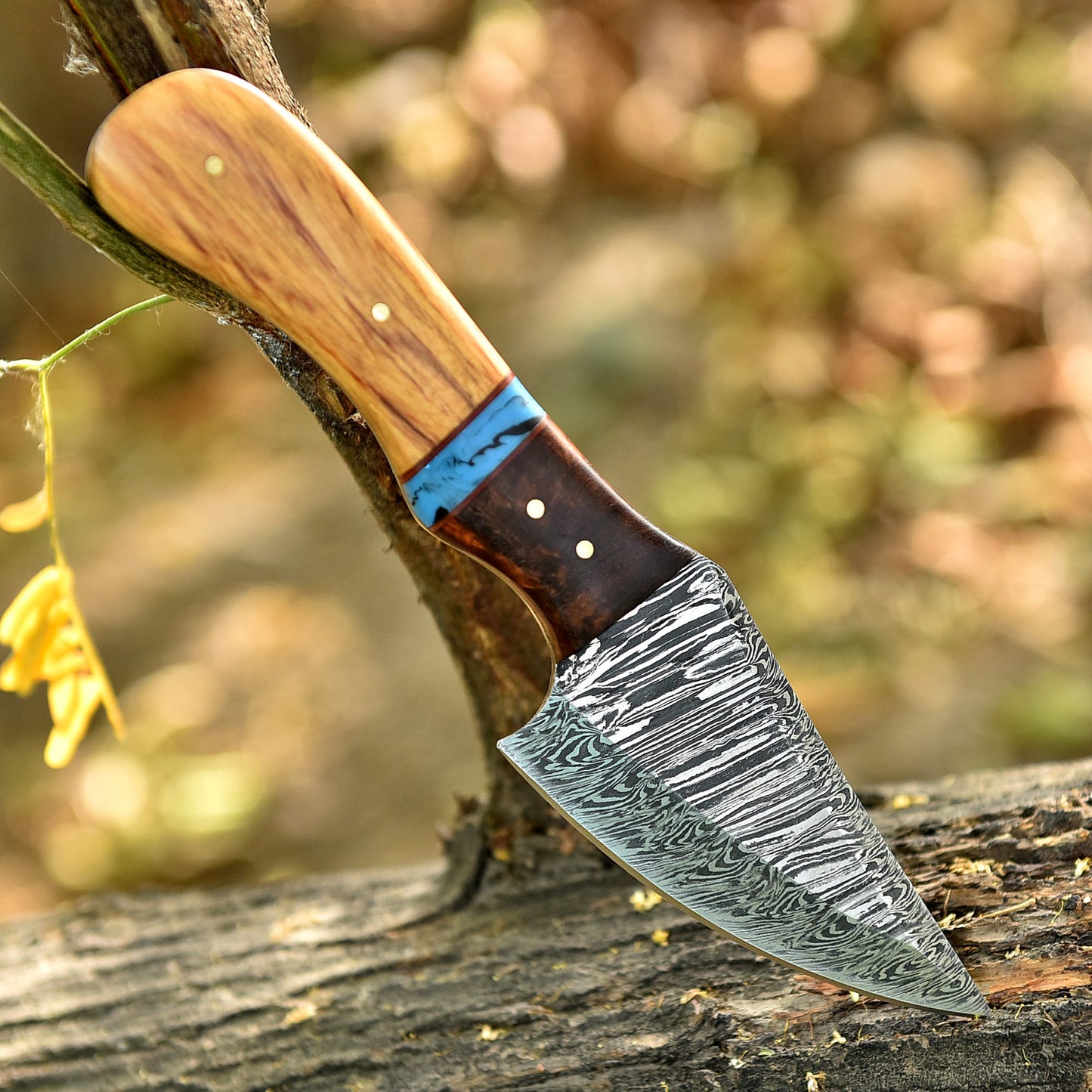 8" Elite Outdoor Damascus Steel Blade Skinner Knife Wood Resin Handle