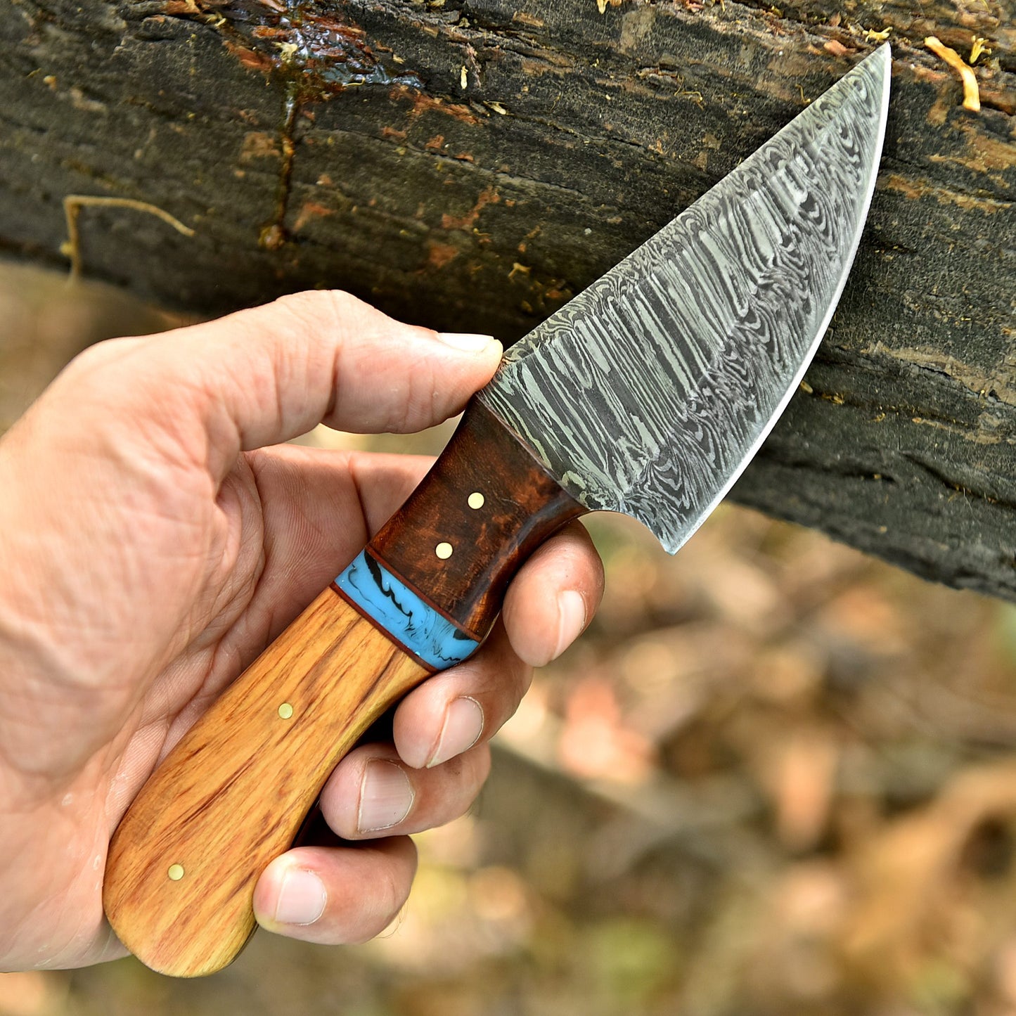 8" Elite Outdoor Damascus Steel Blade Skinner Knife Wood Resin Handle