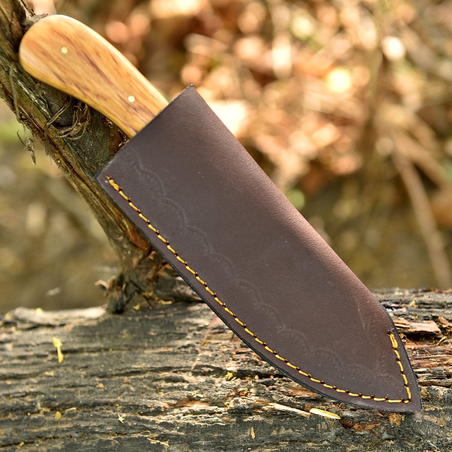 8" Elite Outdoor Damascus Steel Blade Skinner Knife Wood Resin Handle