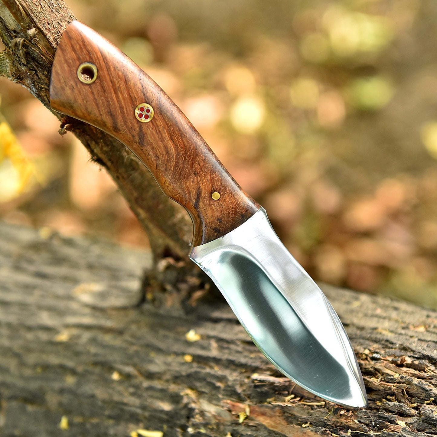 Classic Hunting Carbon Steel Blade Skinner Knife Wood Handle