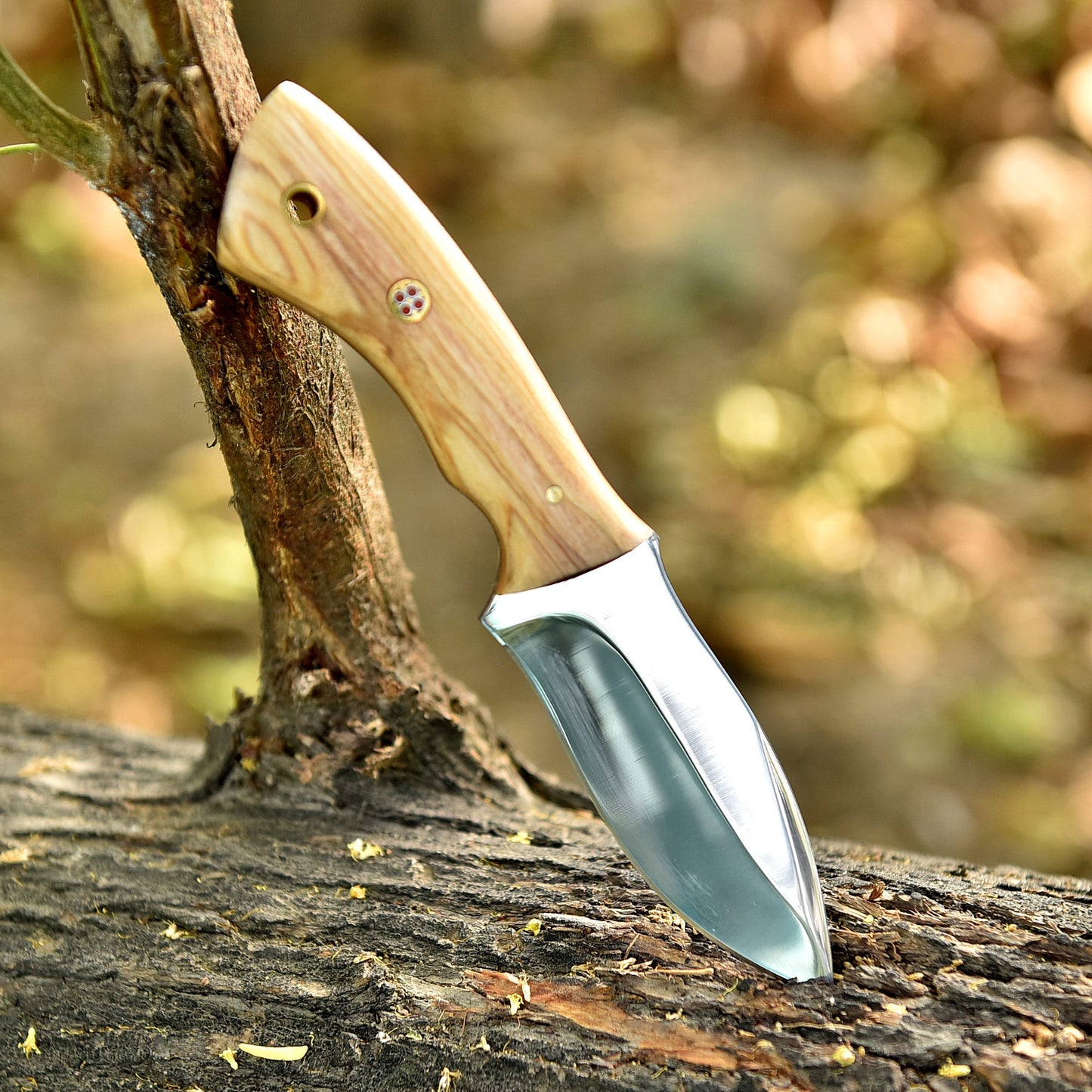 Elite Handmade Carbon Steel Blade Full Tang Skinner Knife Wood Handle