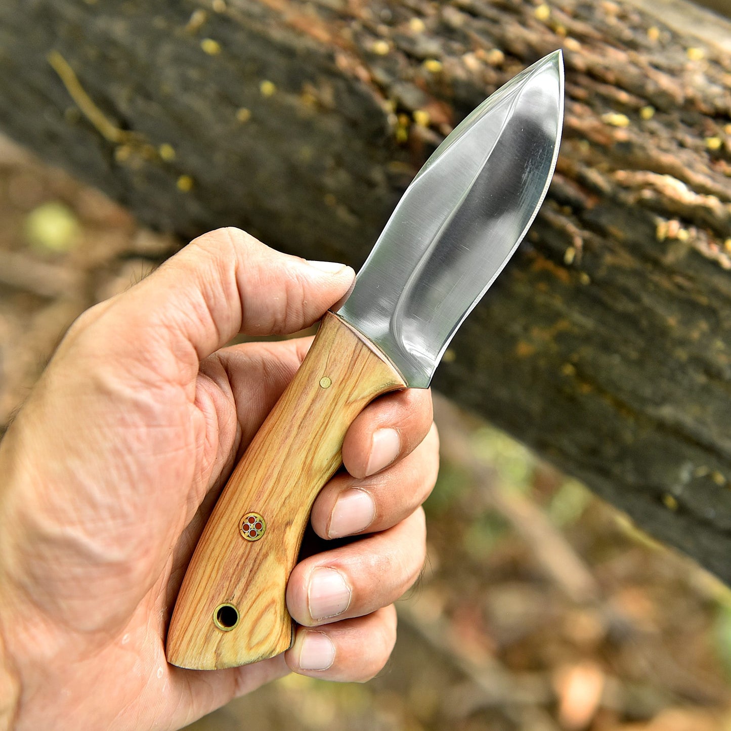 Elite Handmade Carbon Steel Blade Full Tang Skinner Knife Wood Handle