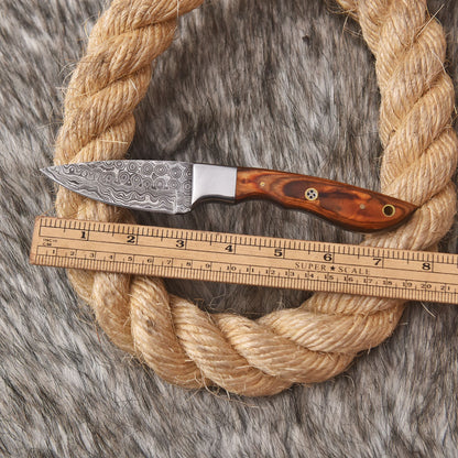 Handmade Damascus Skinner Camping Knife Wood Steel Bolster Handle