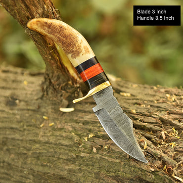 Hand Forged Damascus Steel Fixes Blade Outdoor Skinner Knife Stage Handle