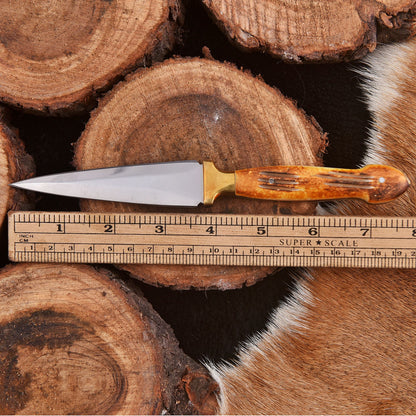 Handmade Carbon Steel High Polish Dagger Full Tang Knife Stag Handle