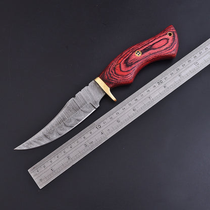 Handmade Damascus Camping Tactical Skinning Knife Wood Handle Brass Guard