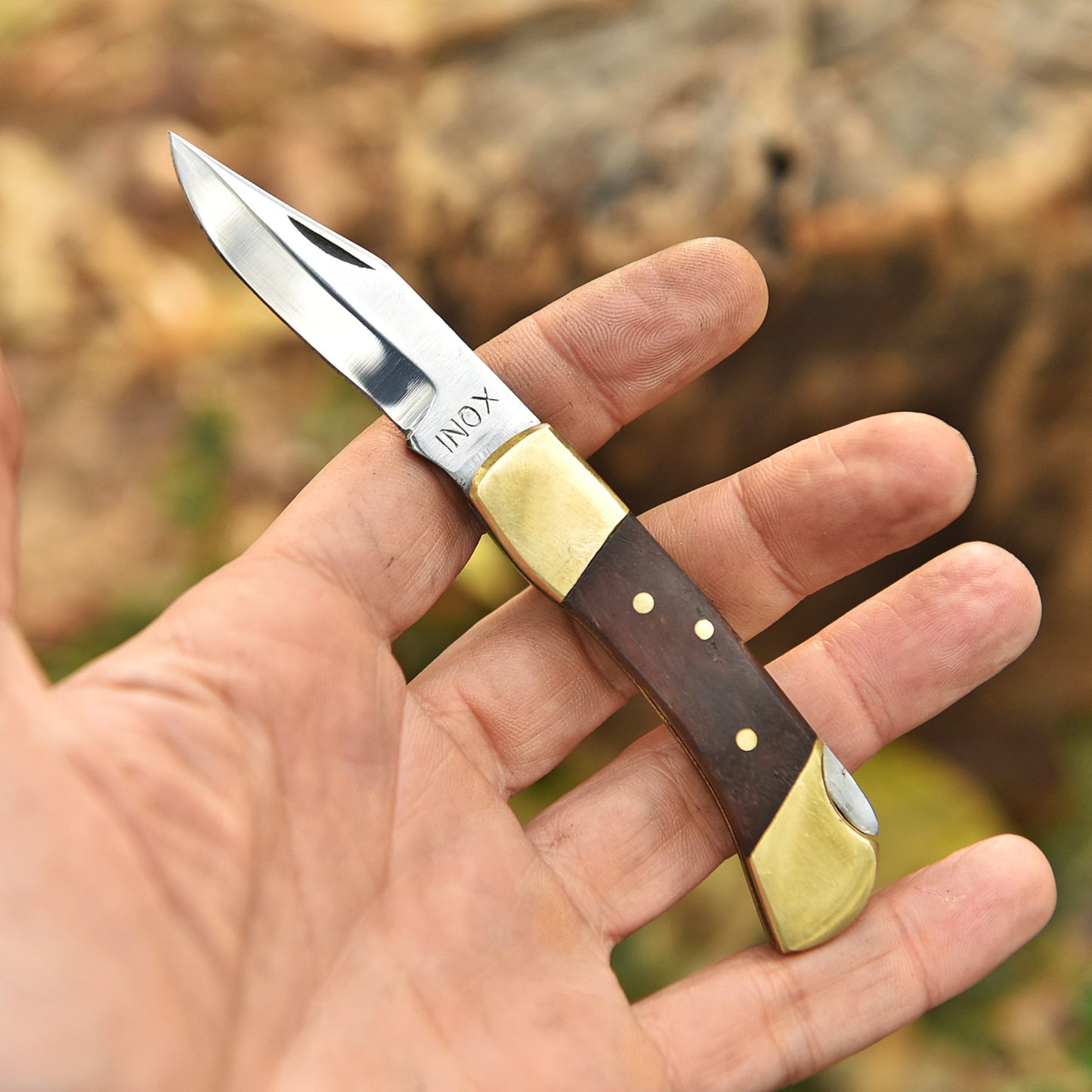 Handmade Carbon 1095 Steel Folding Blade Pocket Knife Wood Brass Handle