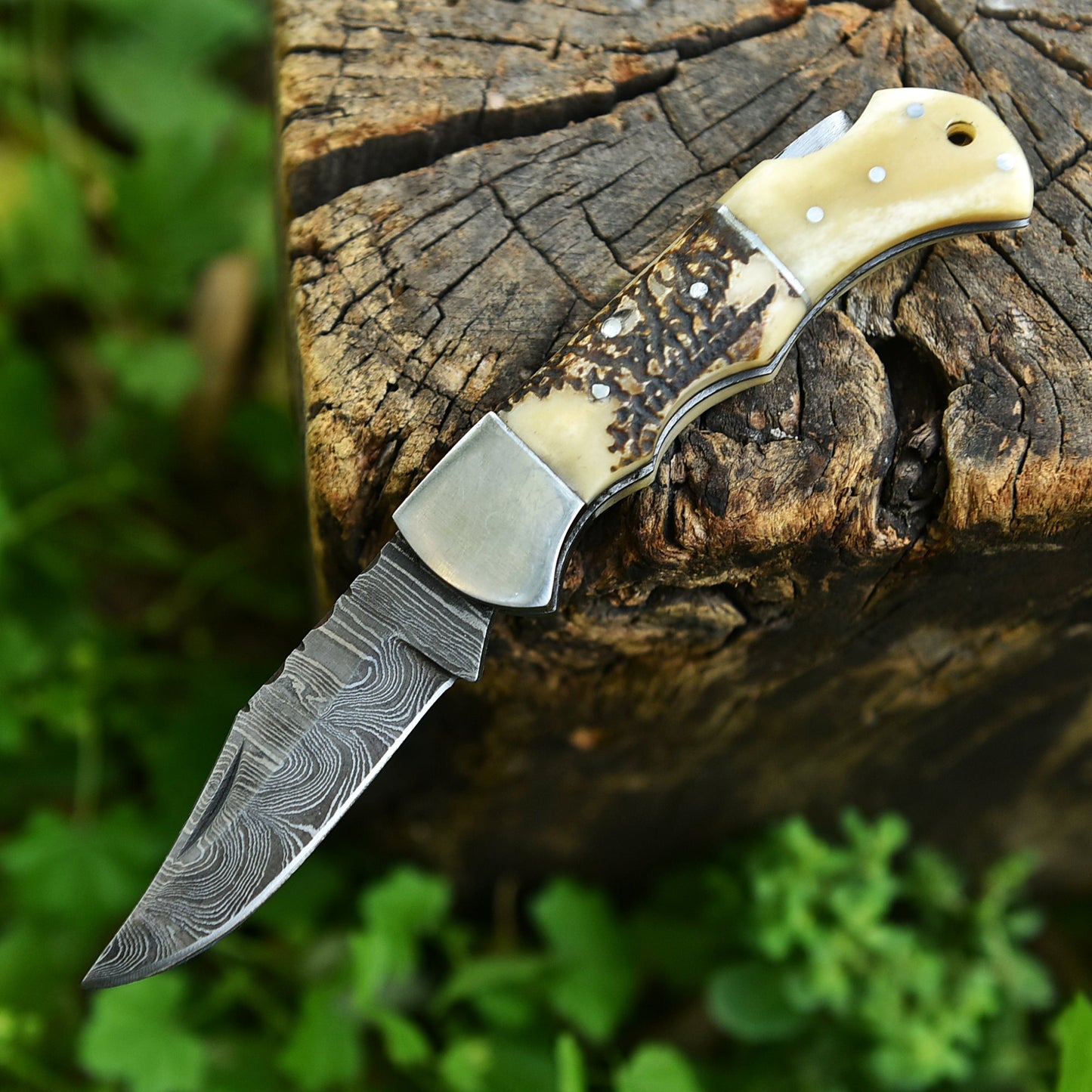 Professional Damascus Steel EDC Folding Knife Stage Camel Bone Handle