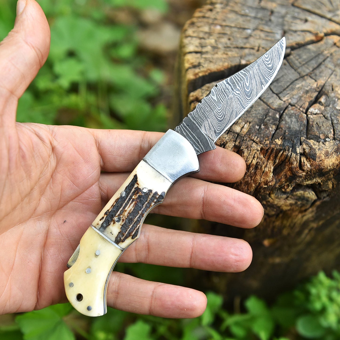 Professional Damascus Steel EDC Folding Knife Stage Camel Bone Handle