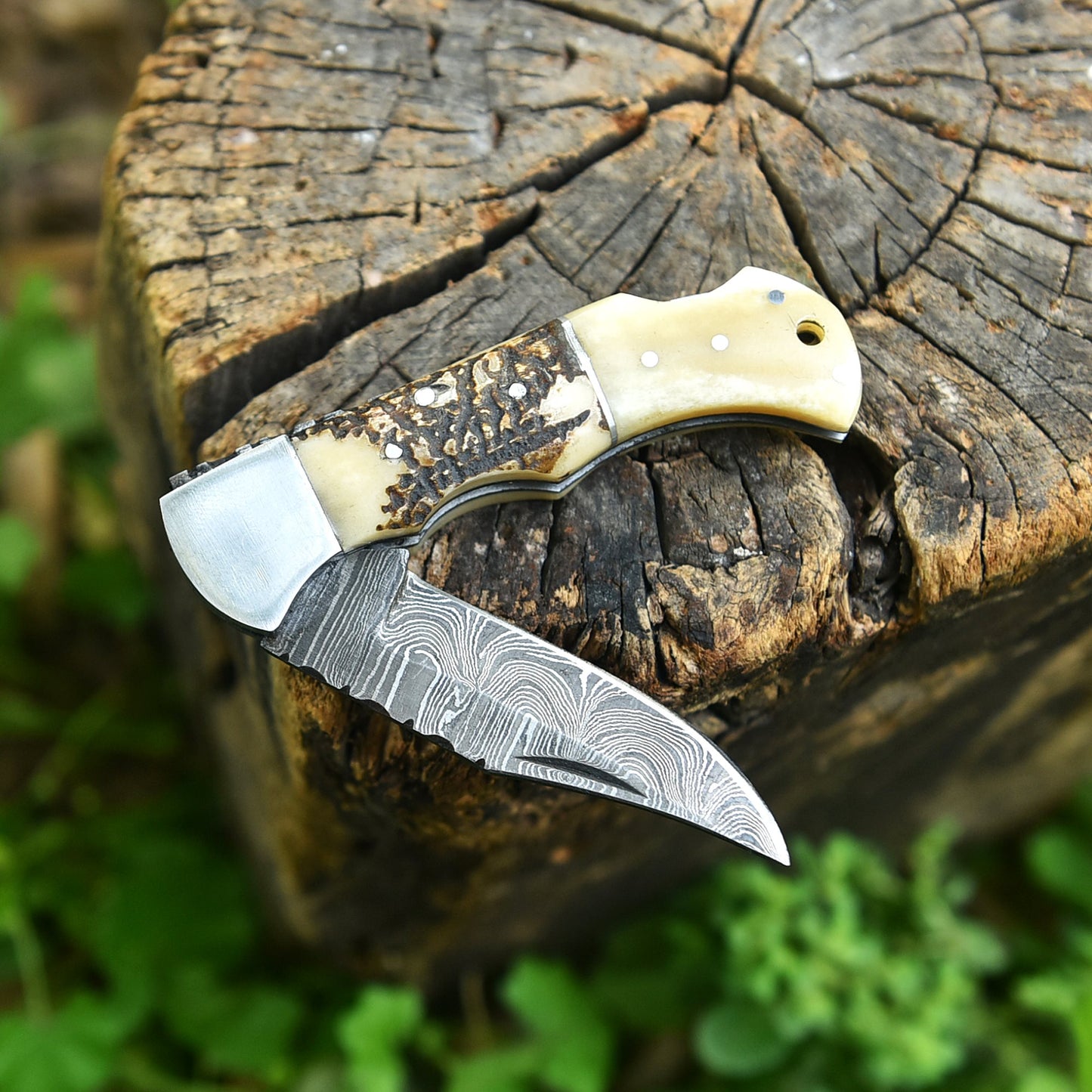Professional Damascus Steel EDC Folding Knife Stage Camel Bone Handle