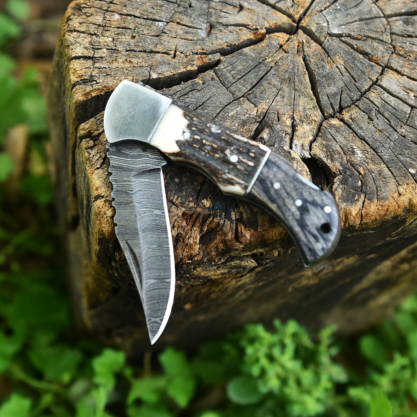 Custom Handmade Damascus Steel Folding Blade Pocket Knife Stage Wood Handle
