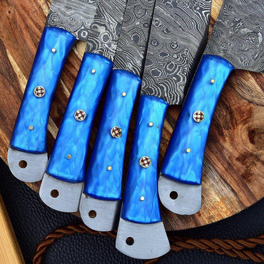 Hand Forged Damascus Steel Chef Knife Set With Resin Handle X-224